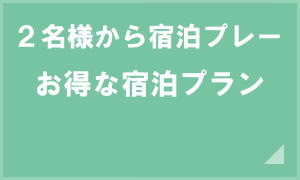 3名様〜宿泊付きプラン スウィングパック